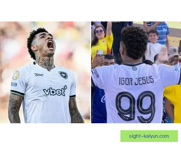 南美足球联赛水平不断提升，竞争力增强引发外界关注