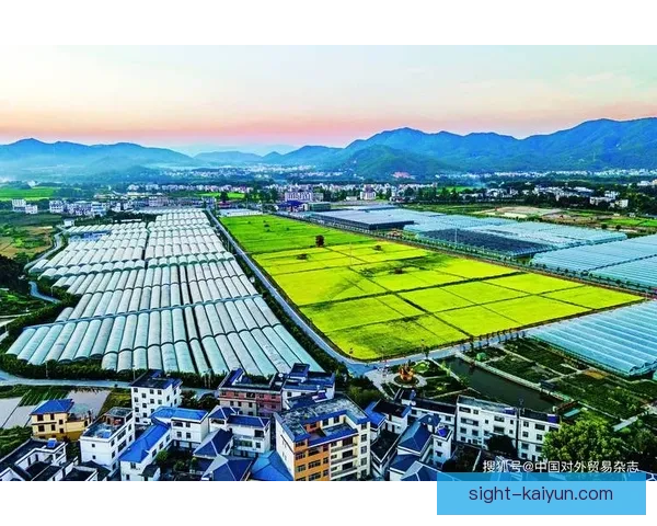 霍村整体实力持续提升，近期表现值得关注，竞争力增强。